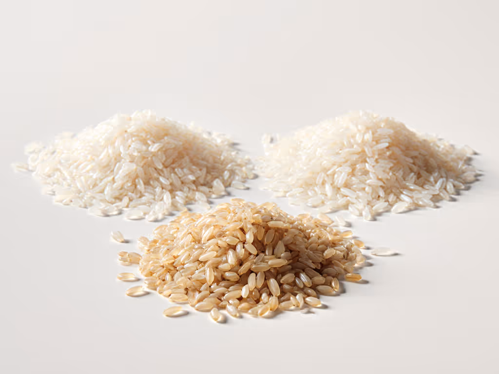 rice_grain_classification_microscopic